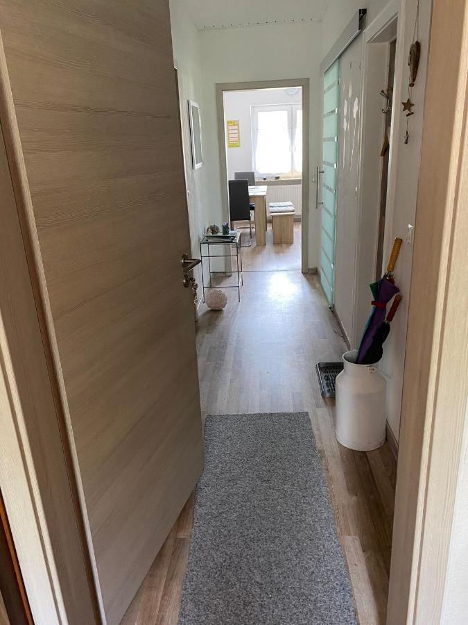 Ferienwohnung Zur Roni 트로이히틀링겐 외부 사진